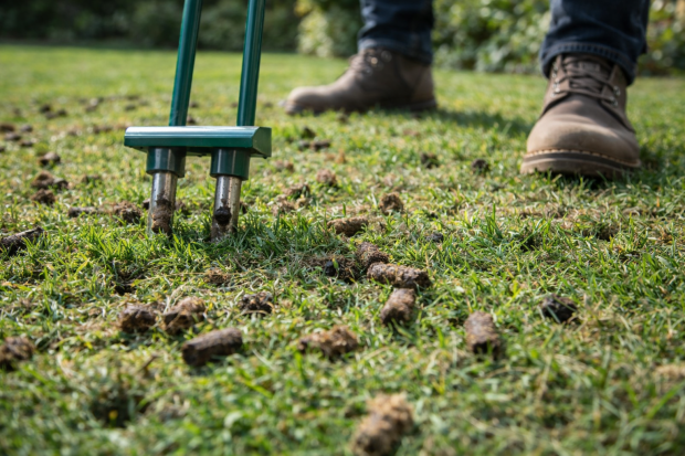 aérer un gazon
